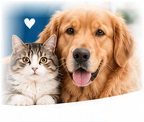Happy cat and dog